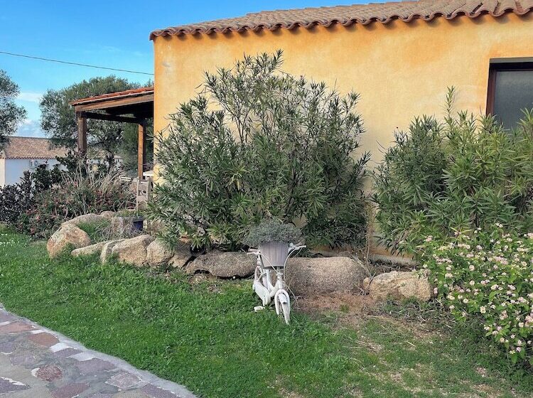 استودیوی استاندارد, B&b Su Donnigheddu