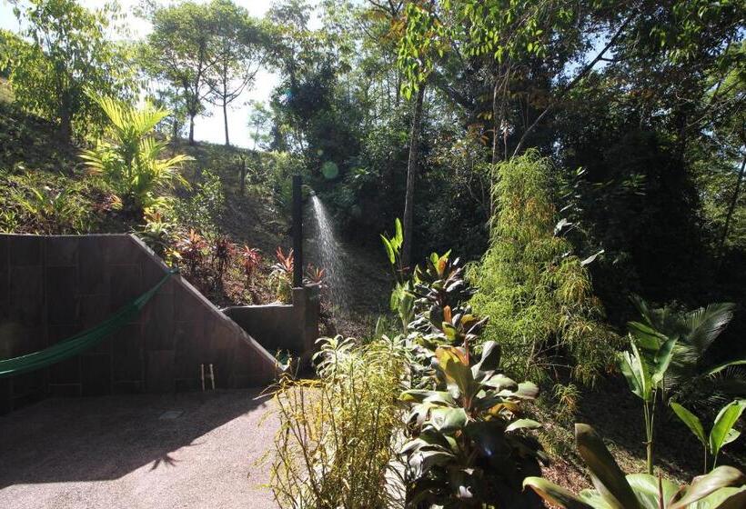 디럭스 방갈로, Oasis De Las Palmas