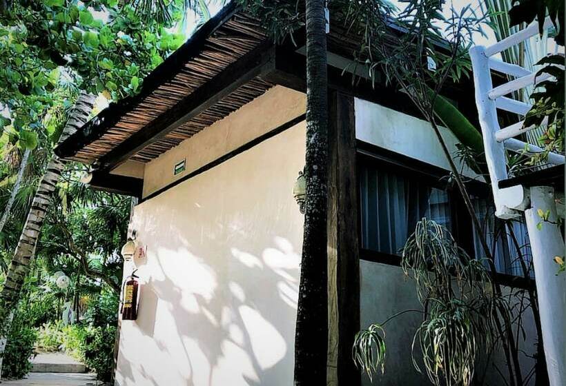 庭の見えるジュニアスイート, Villa Las Estrellas Tulum  Located At The Party Zone