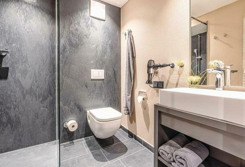 Номер Стандарт с Балконом, Arthotel Bakker