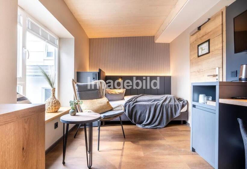 Номер Стандарт Индивидуальный, Arthotel Bakker