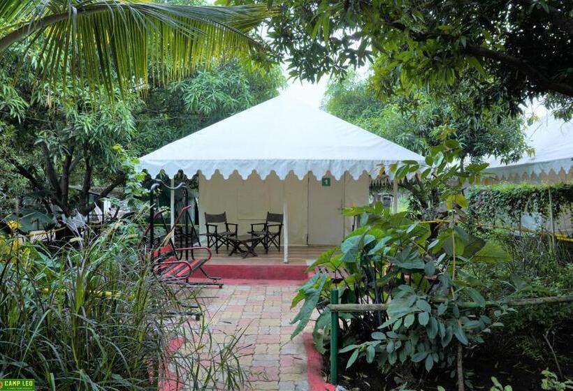 Standard Tent, Gir Pride Resort