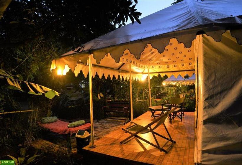 Standard Tent, Gir Pride Resort
