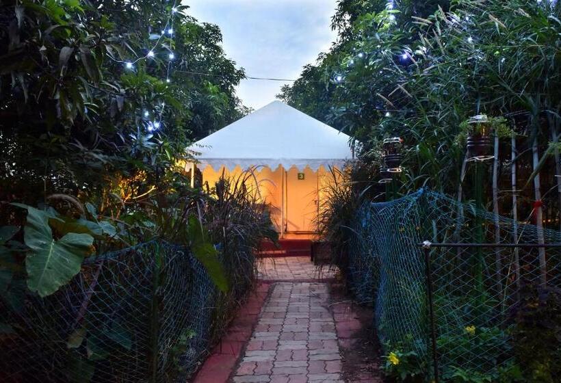 Standard Tent, Gir Pride Resort