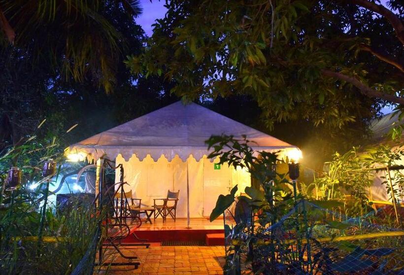 Standard Tent, Gir Pride Resort