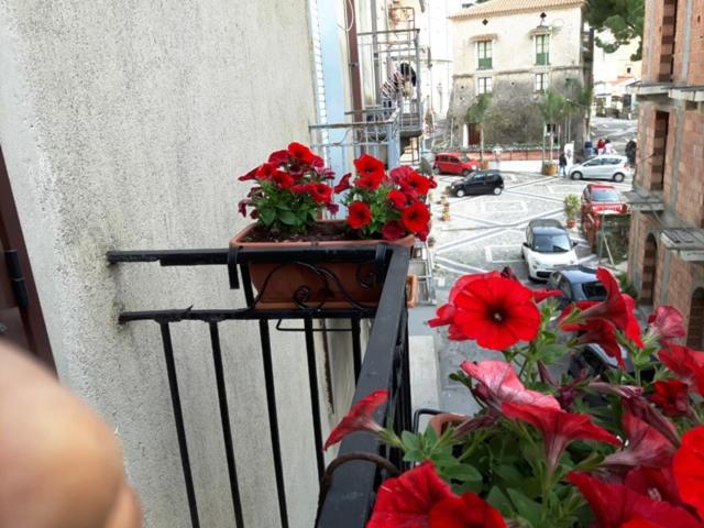 اتاق استاندارد چهار تخته, La Marinella