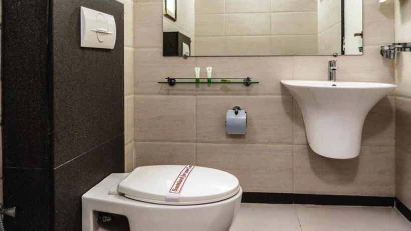 Люкс с Балконом, Pushpak Resort