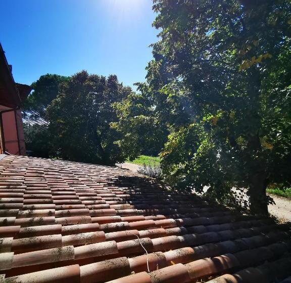 Апартаменты 1 Спальня, La Casa Dei Tigli