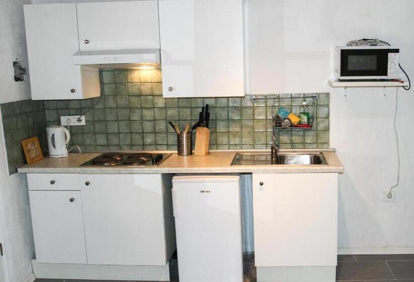 استودیوی استاندارد, Apartments Hemingway House
