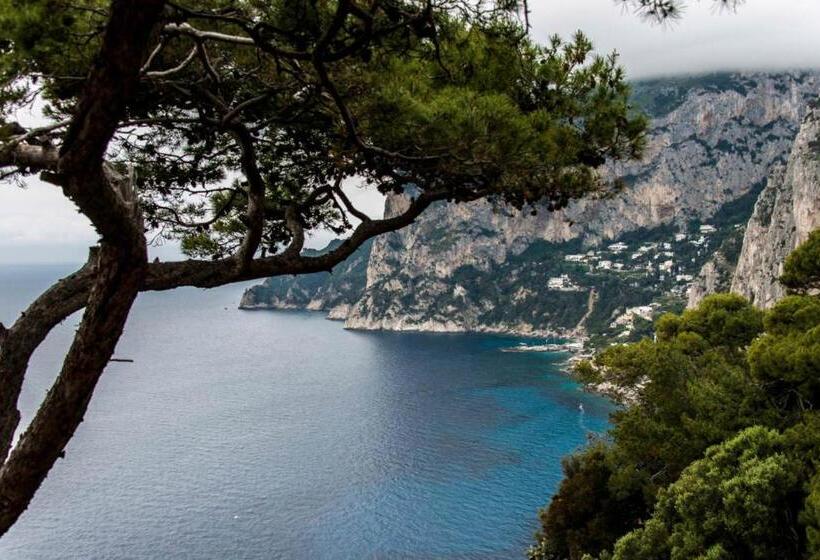 Вилла 1 Спальня Вид на Море, Villacore Capri
