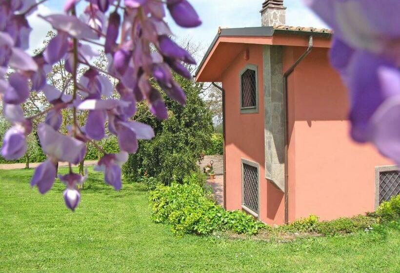 Номер Стандарт, B&b Ai Glicini   Castelli Romani