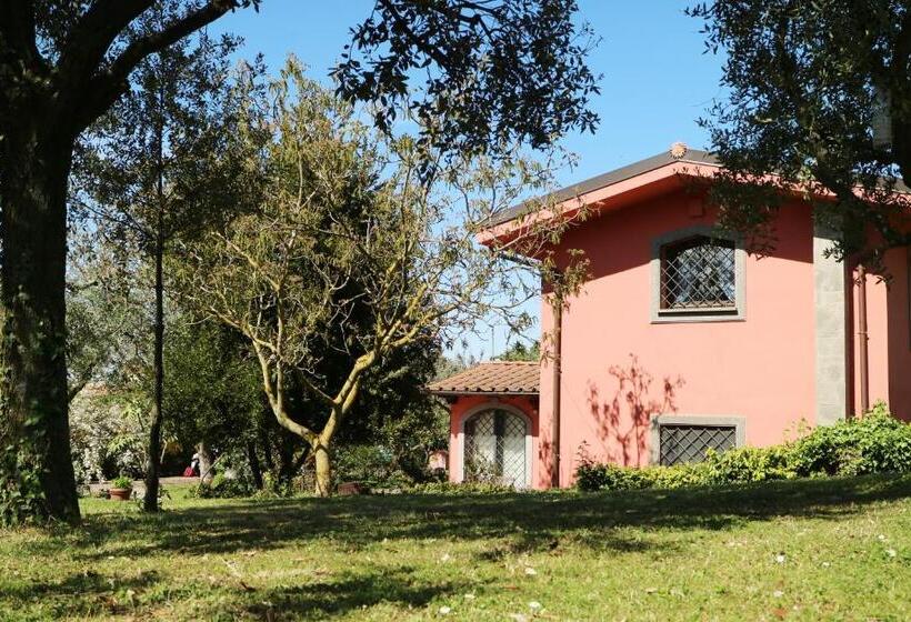 Номер Стандарт, B&b Ai Glicini   Castelli Romani
