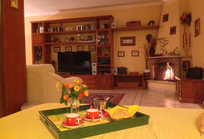 استودیوی استاندارد, B&b Sedici Pini