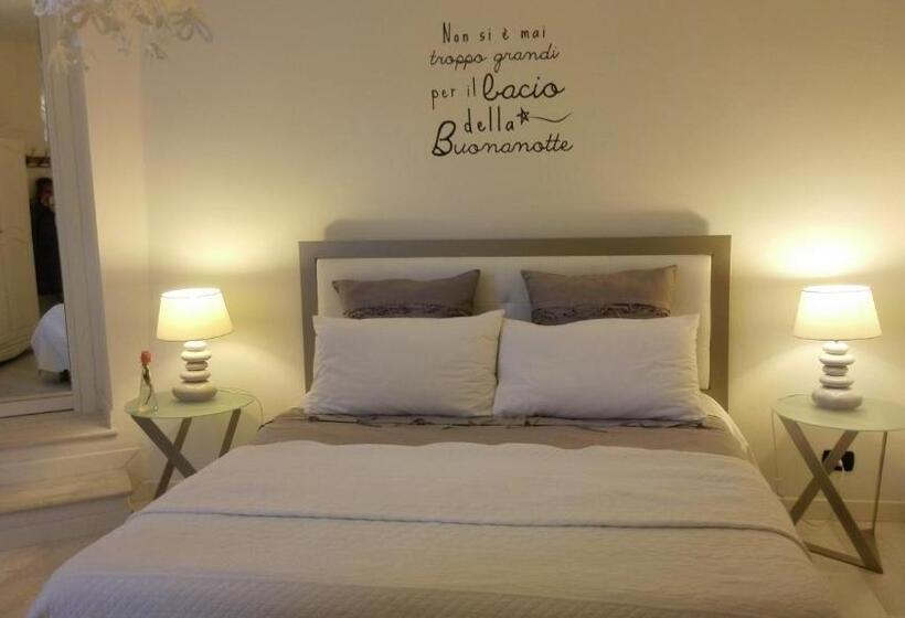 Студия Стандарт, Caterina.c B&b