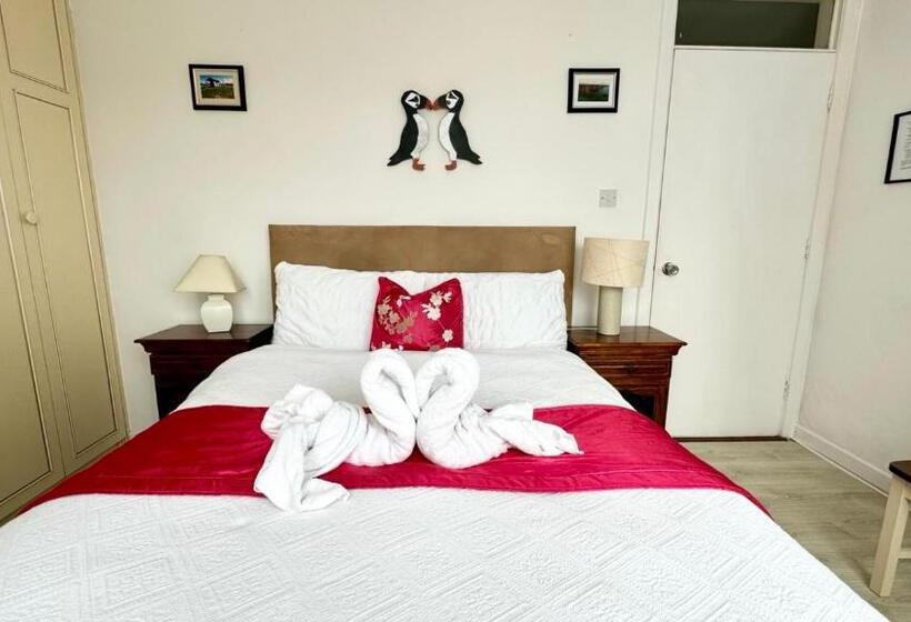 Номер Стандарт, Puffin B&b