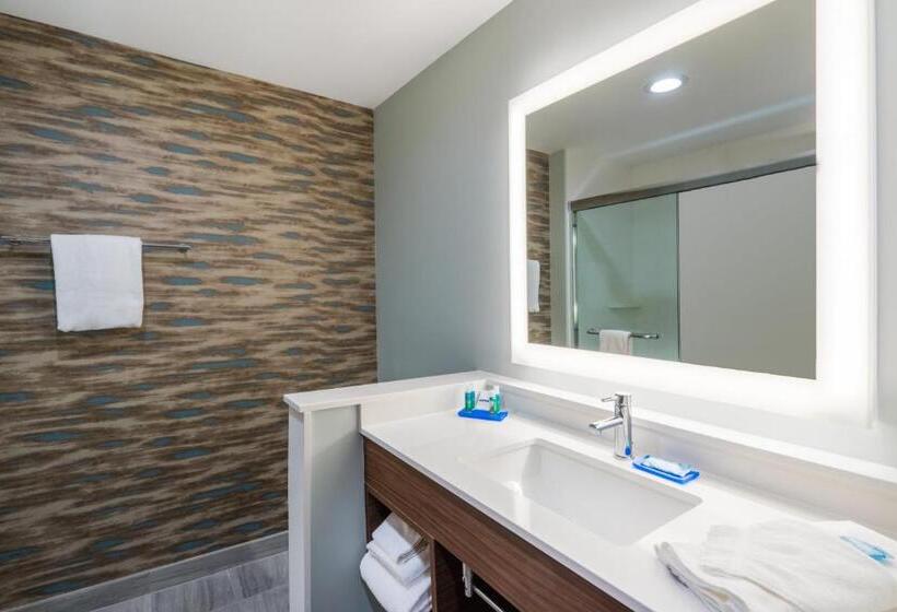 Люкс Кровать Кинг, Holiday Inn Express & Suites Greenville Se   Simpsonville, An Ihg