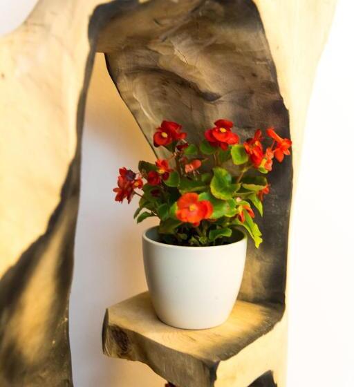اتاق لوکس با چشم‌انداز, B&b Tara Garden