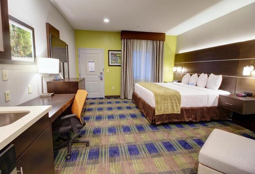 스탠다드 룸 킹사이즈 침대, Days Inn & Suites By Wyndham Port Arthur
