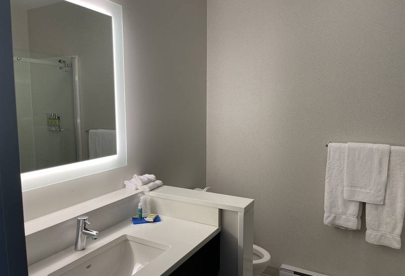 Номер Стандарт, Holiday Inn Express & Suites   Gatineau   Ottawa, An Ihg