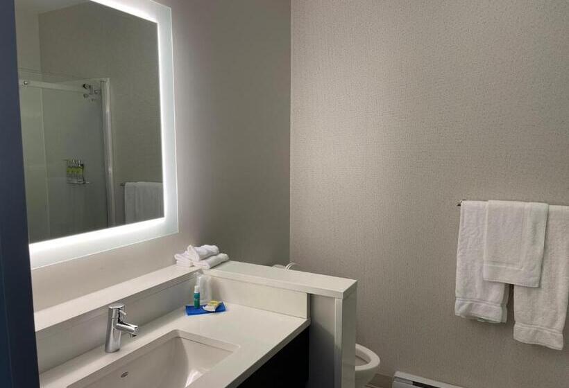 Номер Стандарт, Holiday Inn Express & Suites   Gatineau   Ottawa, An Ihg