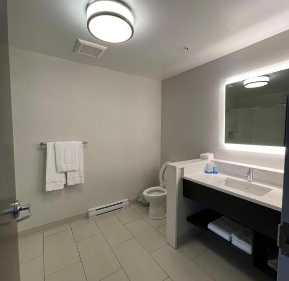 Номер Executive Кровать Кинг, Holiday Inn Express & Suites   Gatineau   Ottawa, An Ihg
