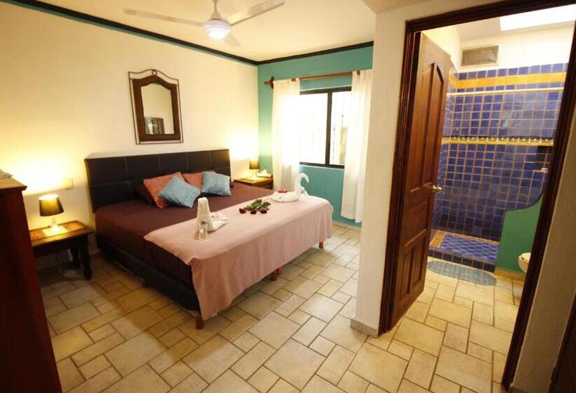 اتاق لوکس, Maya Vacanze Playa Alegria