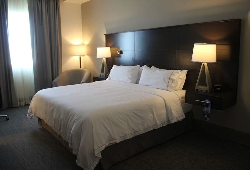 套房, Holiday Inn Express & Suites Silao Aeropuerto Terminal, An Ihg