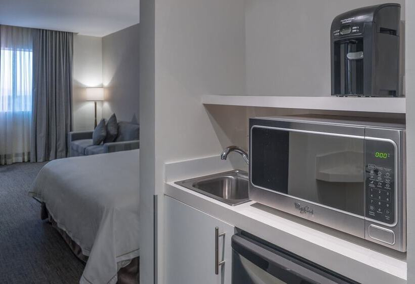 套房, Holiday Inn Express & Suites Silao Aeropuerto Terminal, An Ihg