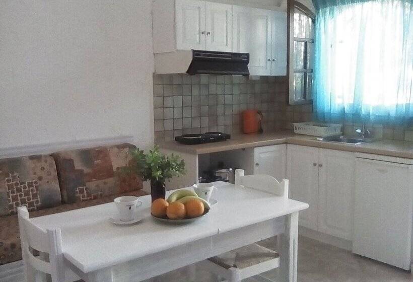 Апартаменты 1 Спальня, Valentina Apartments