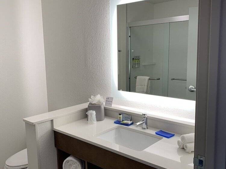 Люкс, Holiday Inn Express & Suites   Aurora Medical Campus, An Ihg