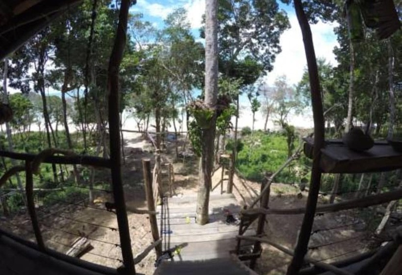 Cama em Quarto Compartilhado, Driftwood Hostel And Bungalows
