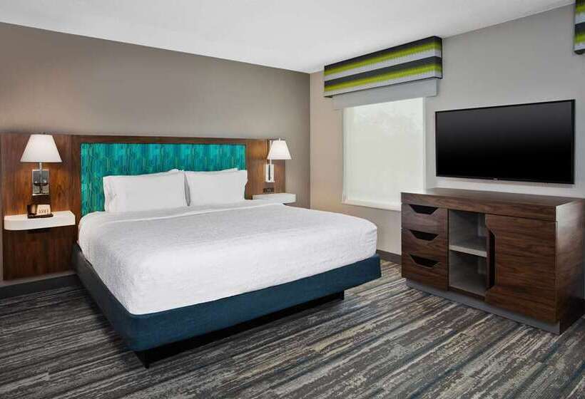 اتاق استاندارد با تخت بزرگ, Hampton Inn & Suites Atlanta/marietta