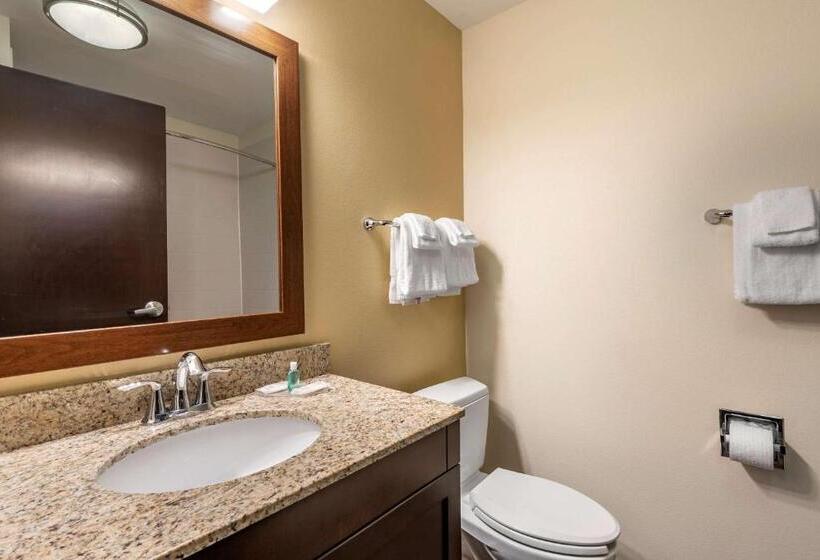 Люкс, Mainstay Suites Moab Near Arches National Park