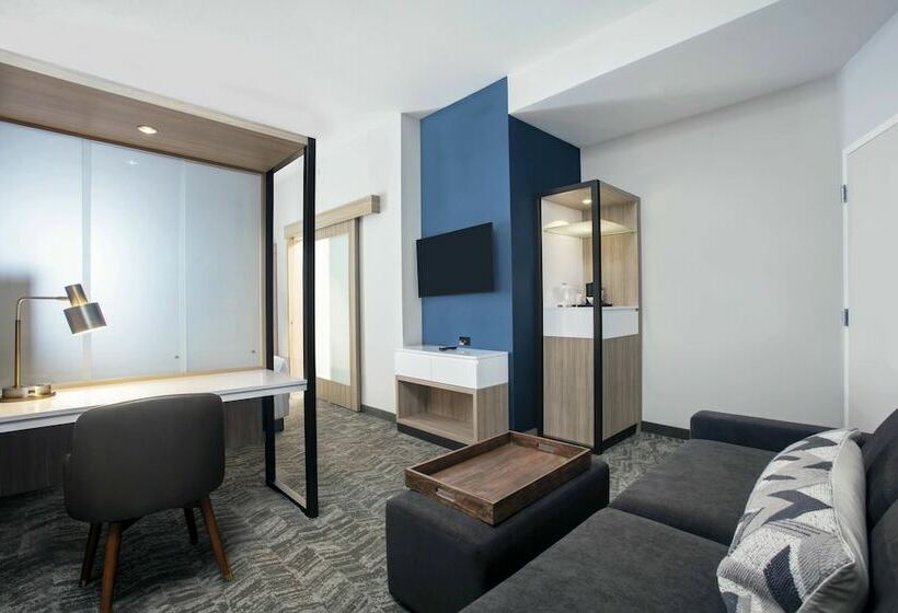 스위트, Springhill Suites By Marriott Miami Doral