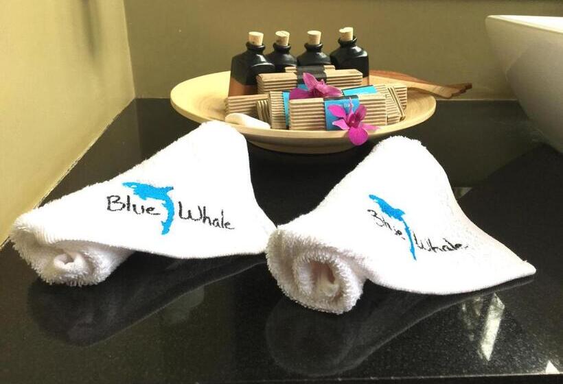 سوئیت با تخت بزرگ, Blue Whale Resort & Kite Surfing