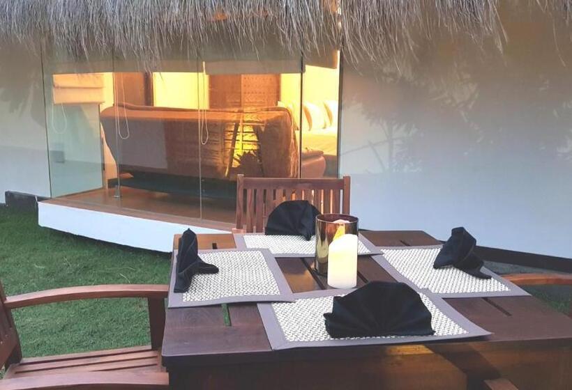 Шале 1 Спальня, Blue Whale Resort & Kite Surfing