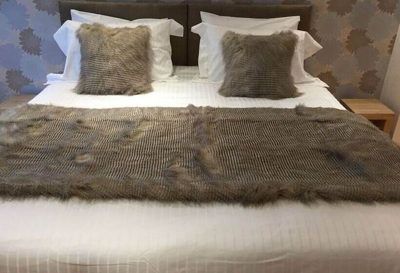Номер Стандарт, 8 Owls B&b