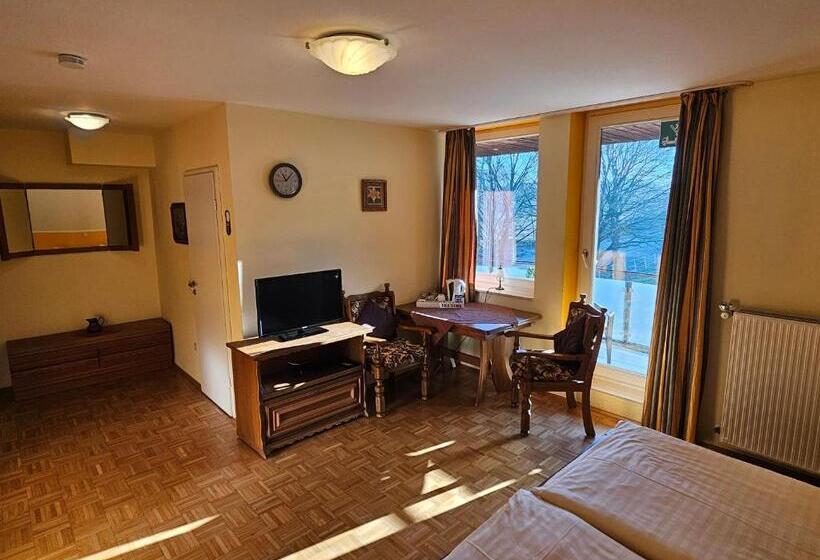 Номер Стандарт, Gästehaus Grunewald Bed & Breakfast