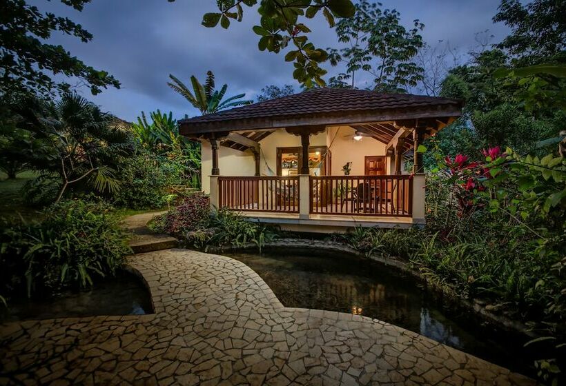 اتاق استاندارد, Sleeping Giant Rainforest Lodge