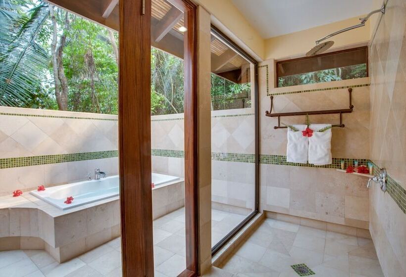 اتاق استاندارد, Sleeping Giant Rainforest Lodge