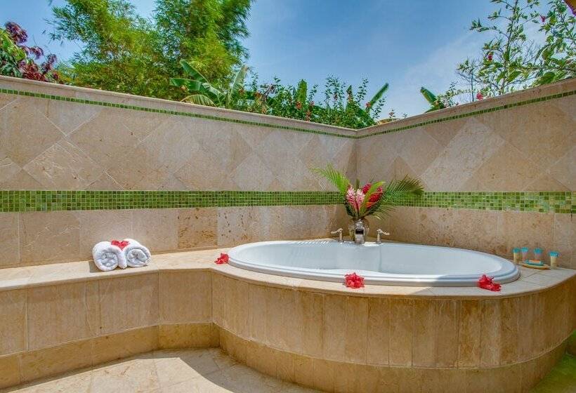 اتاق استاندارد, Sleeping Giant Rainforest Lodge