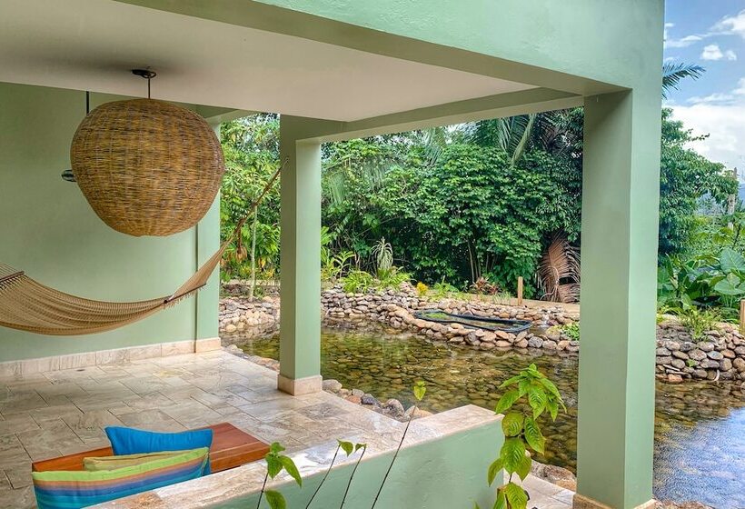 اتاق استاندارد, Sleeping Giant Rainforest Lodge