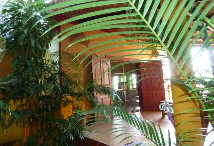 بانگلوی استاندارد, Old Tree S House