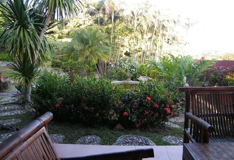 بانگلوی استاندارد 2 خوابه, Old Tree S House