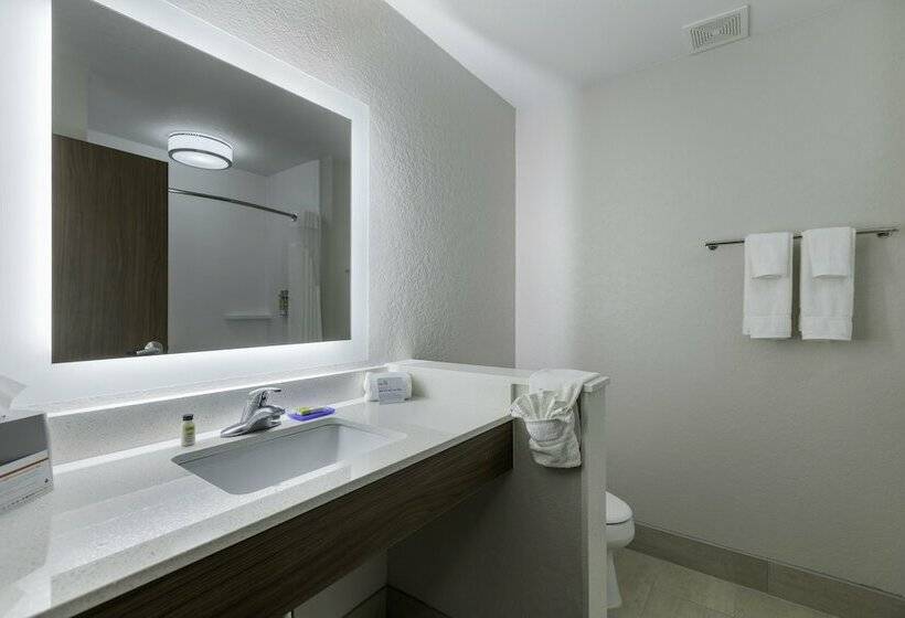 Люкс, Holiday Inn Express & Suites   San Marcos South, An Ihg