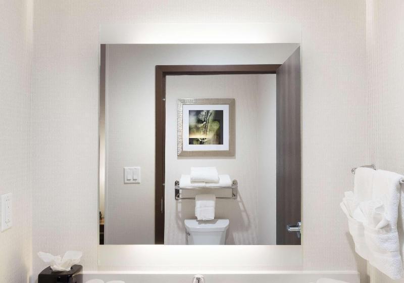 Люкс Адаптированный для Инвалидов, Staybridge Suites   Florence Center, An Ihg
