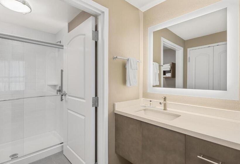 Номер Стандарт, Staybridge Suites   Florence Center, An Ihg