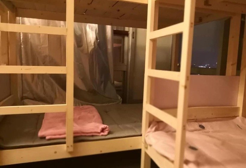 Кровать в Многоместном Номере с Общей Ванной, Best Cat Hostel