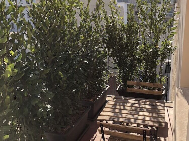 اتاق استاندارد, 200s & Terrace