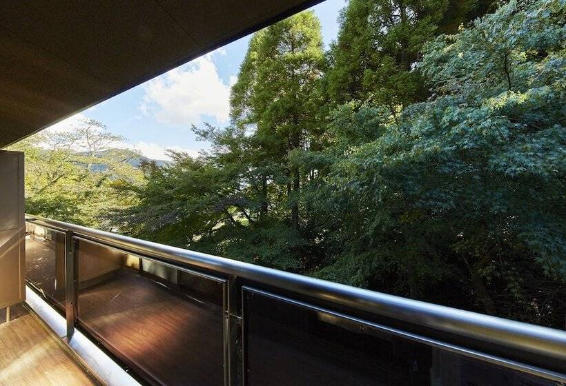Номер Deluxe, Hakone Terrace